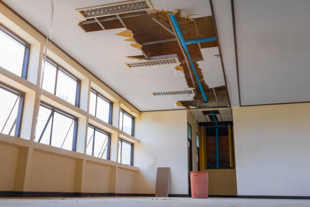 Best Flood restoration services  in Prichard, AL