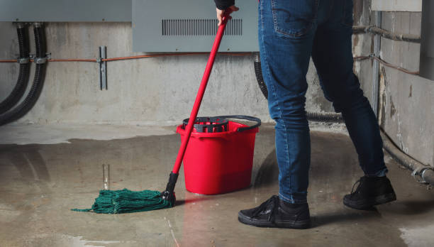 Best Mold removal after water damage  in Prichard, AL