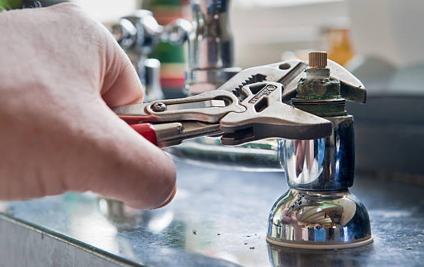 Best Flood damage cleanup  in Prichard, AL