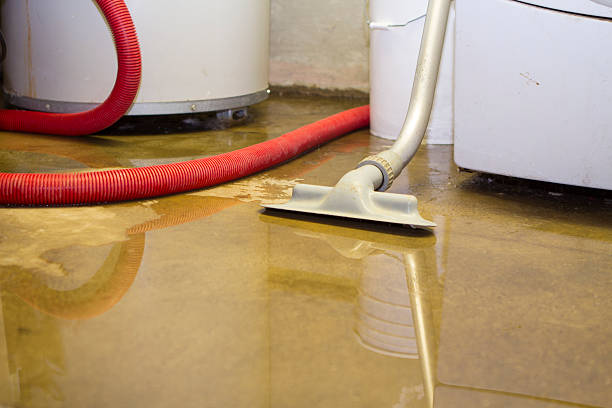 Best 24-hour water damage restoration  in Prichard, AL