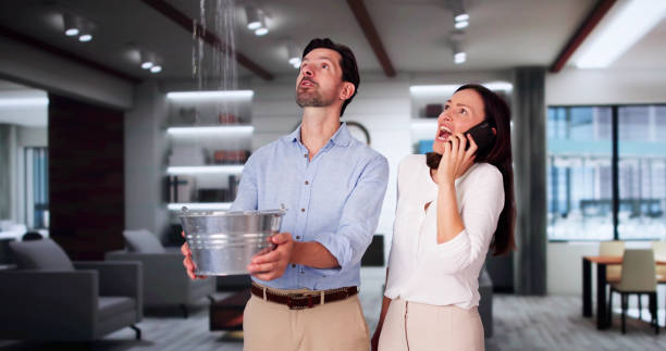 Best Ceiling water damage repair  in Prichard, AL